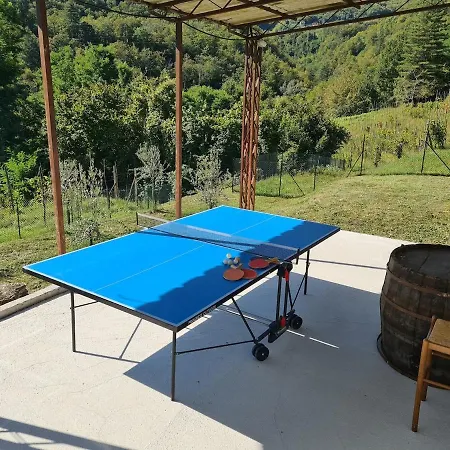 Villa Vineyard With Private Pool, Gym & Games *