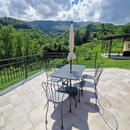 Vineyard With Private Pool, Gym & Games 빌라 Camporgiano