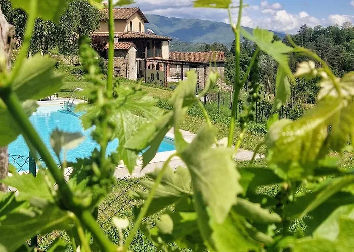 Vineyard With Private Pool, Gym & Games 빌라
